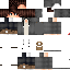 Texture for ender