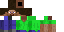 Texture for Steve