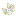Texture for quar