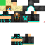 Texture for Tiger