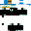 Texture for skin donald duck 222
