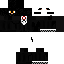 Texture for catt