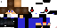 Texture for King
