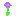 Texture for allium