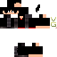 Texture for SrNewt