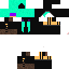 Texture for Kiwi (Highschool)