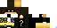 Texture for vishj