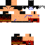 Texture for grilo32
