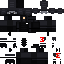 Texture for ds