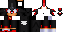 Texture for pinto