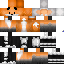 Texture for Terra Swoop Fox
