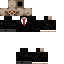 Texture for GUSTAV