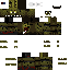 Texture for sven