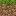 Texture for terra1