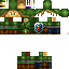 Texture for Link