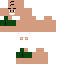Texture for tipsiz rdg