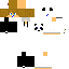 Texture for steve