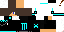 Texture for Leonado