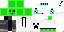 Texture for slimeTURTLE