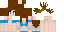Texture for pp