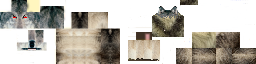 Texture for WolfAngry