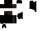 Texture for Vampire Bat