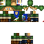Texture for link