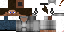 Texture for Steve swag