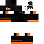 Texture for swag