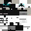Texture for ninja?