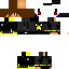 Texture for ds