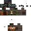 Texture for ImprovedSifforest
