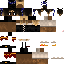 Texture for Tay Pirata