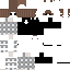 Texture for 2nd skinn