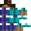 Texture for Steve Blink