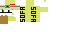 Texture for r34 cat