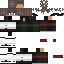 Texture for ILDAR