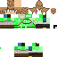 Texture for frigiel 2 vert