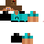 Texture for Steve