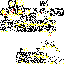 Texture for лол