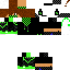 Texture for 4545657