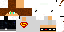 Texture for ds