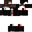 Texture for 1231