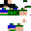 Texture for Creeperfran