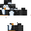 Texture for Pinguim 