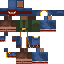 Texture for Wandering trader