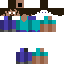 Texture for Steve 1