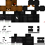 Texture for Bear