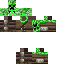 Texture for creeps