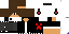 Texture for minilegit111